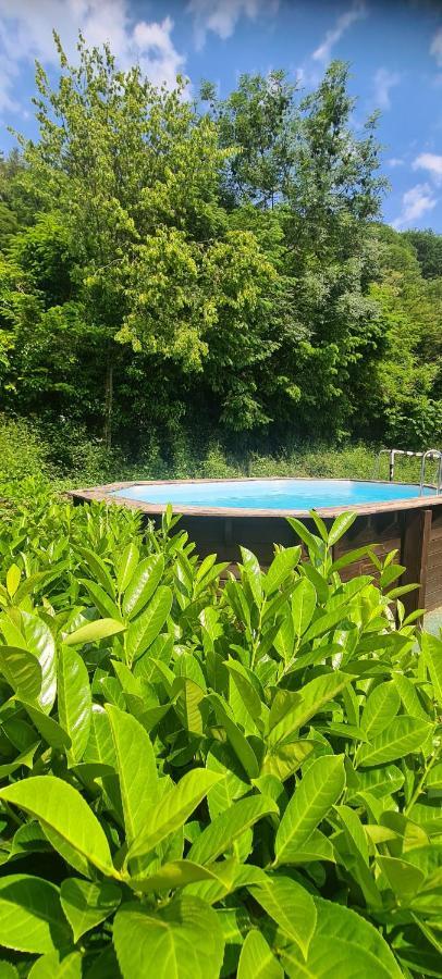 Вілла Maison Piscine Saint-Amarin Екстер'єр фото
